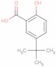 5-(1,1-dimethylethyl)salicylic acid