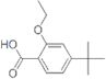 5-tert-Butyl-2-methoxybenzoic acid