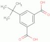 5-tert-butylisophthalic acid