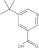 5-(1,1-Dimethylethyl)-3-pyridinecarboxylic acid