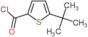 5-(1,1-Dimethylethyl)-2-thiophenecarboxylic acid