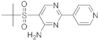 5-(tert-butylsulfonyl)-2-(4-pyridyl)pyrimidin-4-amine