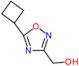 (5-cyclobutyl-1,2,4-oxadiazol-3-yl)methanol