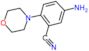 5-amino-2-morpholin-4-ylbenzonitrile