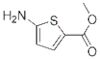 5-Amino-thiophene-2-carboxylic acid methyl ester