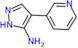 4-pyridin-3-yl-1H-pyrazol-5-amine