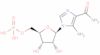 AICA Ribotide