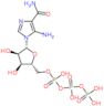 5-amino-1-[5-O-(hydroxy{[hydroxy(phosphonooxy)phosphoryl]oxy}phosphoryl)-beta-D-ribofuranosyl]-1...