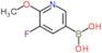 (5-fluoro-6-methoxy-3-pyridyl)boronic acid