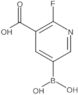 5-Borono-2-fluoro-3-pyridinecarboxylic acid