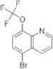 5-Bromo-8-(trifluoromethoxy)quinoline