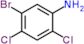 5-bromo-2,4-dichloroaniline