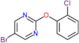 5-bromo-2-(2-chlorophenoxy)pyrimidine