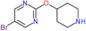 5-bromo-2-(4-piperidyloxy)pyrimidine