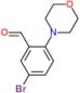 5-bromo-2-morpholin-4-ylbenzaldehyde