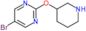 5-bromo-2-(3-piperidyloxy)pyrimidine