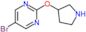 5-bromo-2-pyrrolidin-3-yloxy-pyrimidine