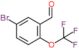 5-bromo-2-(trifluoromethoxy)benzaldehyde