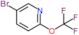 5-Bromo-2-(trifluoromethoxy)pyridine