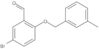 5-Bromo-2-[(3-methylphenyl)methoxy]benzaldehyde