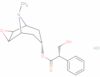 (-)-scopolamine hydrochloride