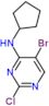 5-bromo-2-chloro-N-cyclopentyl-pyrimidin-4-amine