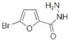 5-BROMO-2-FUROIC ACID HYDRAZIDE