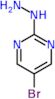 5-bromo-2-hydrazinopyrimidine