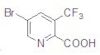 5-Bromo-3-(trifluoromethyl)-2-pyridinecarboxylic acid