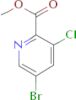 5-Bromo-3-chloro-2-pyridinecarboxylic acid methyl ester