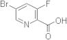 5-Bromo-3-fluoropyridine-2-carboxylic acid