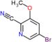 5-Bromo-3-methoxy-2-pyridinecarbonitrile