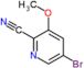 5-bromo-3-methoxy-pyridine-2-carbonitrile