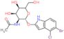 N-[(2R,3S,4R,5R)-2-[(5-bromo-4-chloro-1H-indol-2-yl)oxy]-4,5-dihydroxy-6-(hydroxymethyl)tetrahydropyran-3-yl]acetamide