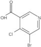 5-Bromo-4-chloro-3-pyridinecarboxylic acid