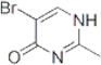 5-BROMO-2-METHYL-4(1H)-PYRIMIDINONE