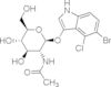 5-bromo-4-chloro-3-indolyl-N-acetyl-B-D-glucosaminide