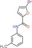 5-bromo-N-(3-methylphenyl)furan-2-carboxamide