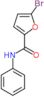 5-bromo-N-phenylfuran-2-carboxamide