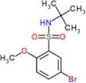 5-Bromo-N-(1,1-dimethylethyl)-2-methoxybenzenesulfonamide