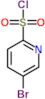 5-Bromopyridine-2-sulfonyl chloride