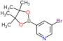 3-Bromo-5-(4,4,5,5-tetramethyl-1,3,2-dioxaborolan-2-yl)pyridine