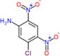 5-chloro-2,4-dinitroaniline