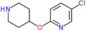 5-chloro-2-(piperidin-4-yloxy)pyridine