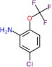 5-chloro-2-(trifluoromethoxy)aniline