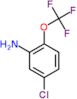 5-Chloro-2-(trifluoromethoxy)benzenamine