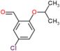 5-chloro-2-(1-methylethoxy)benzaldehyde