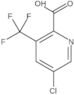 5-Chloro-3-(trifluoromethyl)-2-pyridinecarboxylic acid
