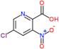 5-chloro-3-nitro-pyridine-2-carboxylic acid