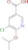 5-chloro-6-isopropoxynicotinic acid